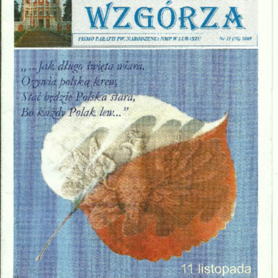 ZKW-2008.11-76.pdf